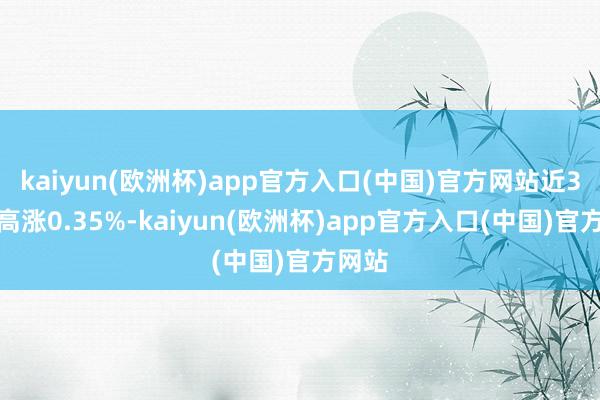 kaiyun(欧洲杯)app官方入口(中国)官方网站近3个月高涨0.35%-kaiyun(欧洲杯)app官方入口(中国)官方网站