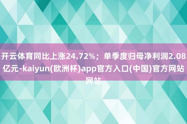 开云体育同比上涨24.72%；单季度归母净利润2.08亿元-kaiyun(欧洲杯)app官方入口(中国)官方网站