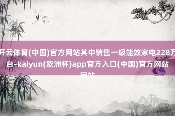 开云体育(中国)官方网站其中销售一级能效家电228万台-kaiyun(欧洲杯)app官方入口(中国)官方网站