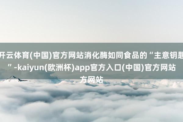 开云体育(中国)官方网站消化酶如同食品的“主意钥匙”-kaiyun(欧洲杯)app官方入口(中国)官方网站