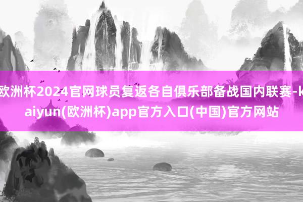 欧洲杯2024官网球员复返各自俱乐部备战国内联赛-kaiyun(欧洲杯)app官方入口(中国)官方网站